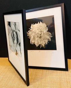 lot 163 image: Gorgeous Black and White Pair of Wall Art
