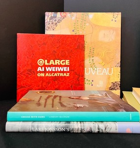 lot 164 image: Gorgeous Books for Bookcase or Coffee Table