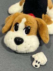 lot 13 image: 2004 Mattel Pound Puppies Battery Operated Talking Plush Toy (Working) with Vintage 2.75 Pound Puppy