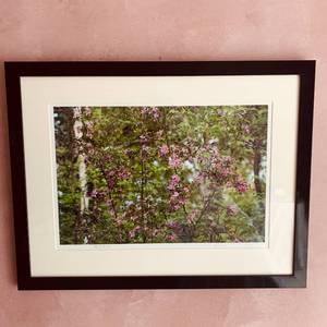 lot 17 image: Framed and Matted Photography