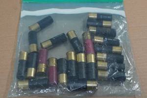 lot 145 image: 23 Assorted 12 Gauge Shotshells - 2-12 and 2-34