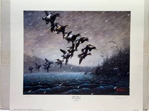 lot 4 image: Les C. Kouba- Signed Numbered Print White Wind(Ring-necked or Ring-bill)-21.5 x 25.25