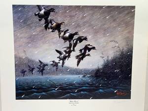 lot 12 image: Les C. Kouba- Signed Numbered Print White Wind(Ring-necked or Ring-bill)-21.5 x 25.25
