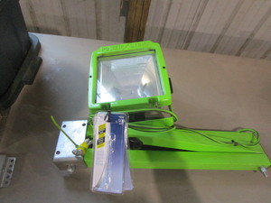 Swing Out Dock Light