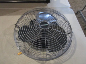 16 Shop Fan