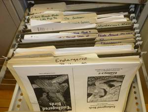 lot 508 image: FOUR 2-drawer file cabinets full of paper copies of books
