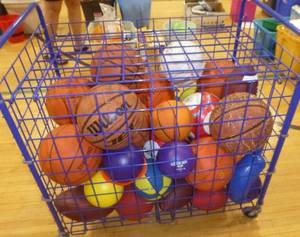 lot G5 image: Cage full of basketballs, soccer, etc