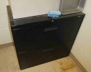 lot C66 image: Two file cabinets with contents