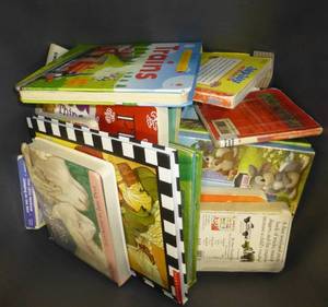 lot G24 image: Two totes of books