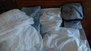 lot 909 image: Protonix promotion blanket, Bedspread, topper and Mattress protector