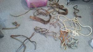 lot 934 image:   Inch  Rope, Headstalls, Bits, Leathers Decor And More.