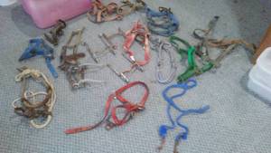 lot 935 image: Headstalls, Bits, Bull Headgear, Lead Ropes And More.