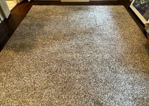 lot 42 image: Lovely and Large Area Rug