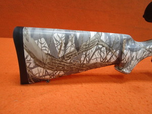 lot 2 image: Savage Model 10 .204 Ruger wBushnell 4x12x40 Scope