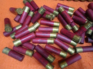 lot 68 image: Vintage Paper Jacketed Shotgun Shells, Shotgun Shell Belts, Gun Cleaning Kit