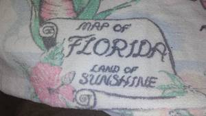 lot 362 image: 1958 Florida Towel, Donald, Mickey & Blanket.