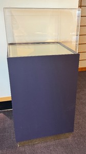 lot 35 image: Unique Enclosed Display Case