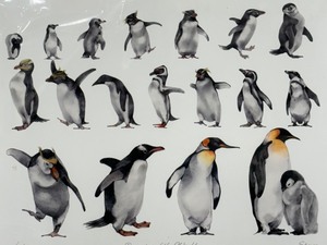lot 108 image: Penguins of the World Limited Edition Unframed Print by Spum