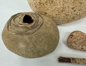 lot 162 image: Unique Nature Pieces of Art Lot of 4 Items