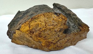lot 153 image: Hand Carved Egyptian Beetle Scarab & Petrified Rock