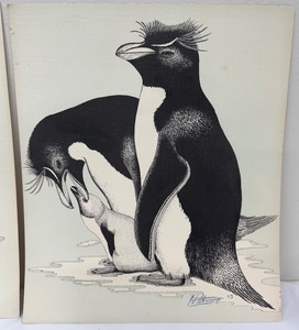 lot 157 image: Two Ian Strange Signed Prints  Falkland Island Wildlife Rockhopper Penguins and Upland Goose