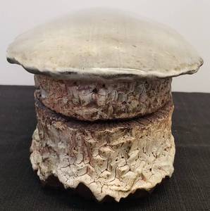 lot 49 image: Two Daryl Townsley Artisan Crafted Lidded Pottery Pieces