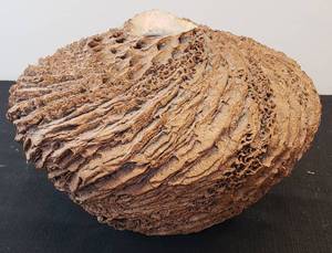 lot 24 image: Anne Goldman Coastal Rock Pottery Vase - Signed