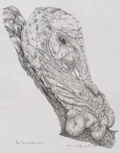 lot 241 image: Original Turkey Head Pencil Drawing by Micah Hanson - 1998