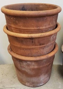 lot 262 image: Gardeners Delight - Six Decorative Planters