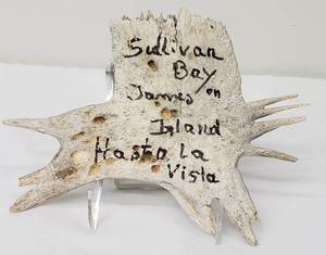 lot 319 image: Driftwood Art Piece from Sullivan Bay on James Island