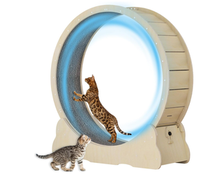 lot 49 image: Large Cat Exercise Wheel 40 inch - Natural Solid Wood