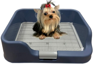 lot 232 image: PS KOREA Indoor Dog Potty Tray  with Protection Wall Every Side for No Leak