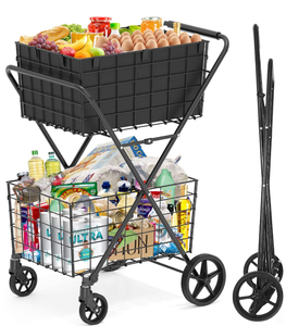 lot 261 image: 2-Tier 420LBS Extra Large Shopping Cart for Groceries, Grocery Cart with Removable Storage Basket