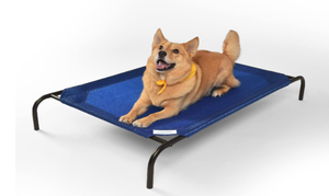 lot 463 image: Coolaroo Elevated Dog Bed. 35x30