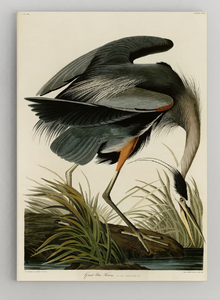 lot 496 image: Wexford Home Great-Blue-Heron Canvas Wall Art. 32x22