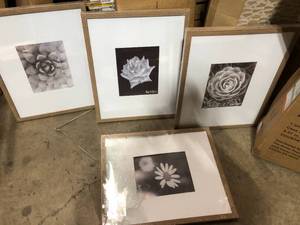 StyleWell 16 x 20 Matted to 8 x 10 Ash Gallery Wall Picture Frame (Set of 4) One Frame has Broken Glass  Customer Returns See Pictures