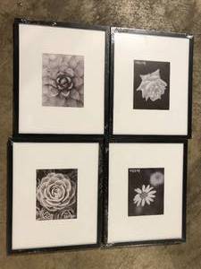 StyleWell 16 x 20 Matted to 8 x 10 Black Gallery Wall Picture Frame (Set of 4) Customer Returns See Pictures