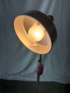 lot 14 image: MNMED Inc. CPO093 Adjustable Gooseneck Mobile Floor Lamp Medical Exam Light - In Great Working Condition