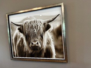 lot 26 image: Framed Trowbridge Highland Cow Numbered 0110 One Print. Measuring 48 X 44 Valued At $950.