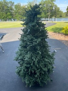 Balsam Hill Pre-Lit Christmas Tree. Some Lights Work Some Do Not. Comes with a Storage Bag That Zips Up Around the Tree. It Also Has a Remote Control to Control the Lights.