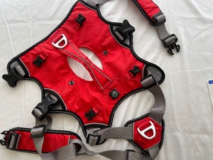 Dog Harness