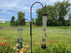 Shepherds Pole with Two Bird Feeders. Height of Pole 90 Inches