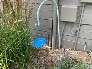Shepherds Hook (48 Inches) and Blue Metal Mealworm Feeder.