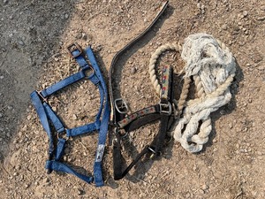Pair Of Horse Bridles Horse Harness 1 Inch Small Horse 500-800 Lbs And Lead Rope