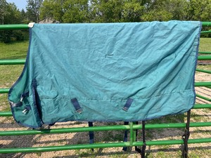 Horse Blanket