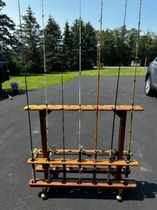 Fishing rods and rod carrier