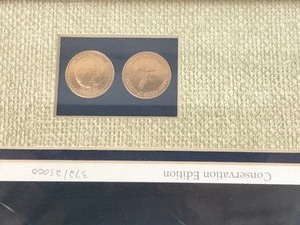 lot 501 image: 3752500 Dawns Early Light Loon Picture with certificate of authenticity with conservation stamp by Denn Derk