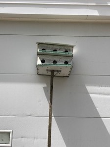 lot 695 image: Metal Bird House on Wood Pole