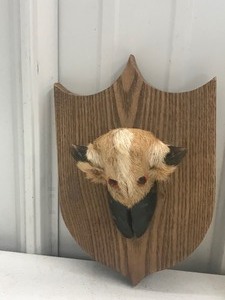 lot 598 image: 2 Mounting kits in the box and homemade mount made out of deer hoofs