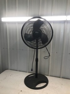 lot 645 image: Galaxy osculating fan